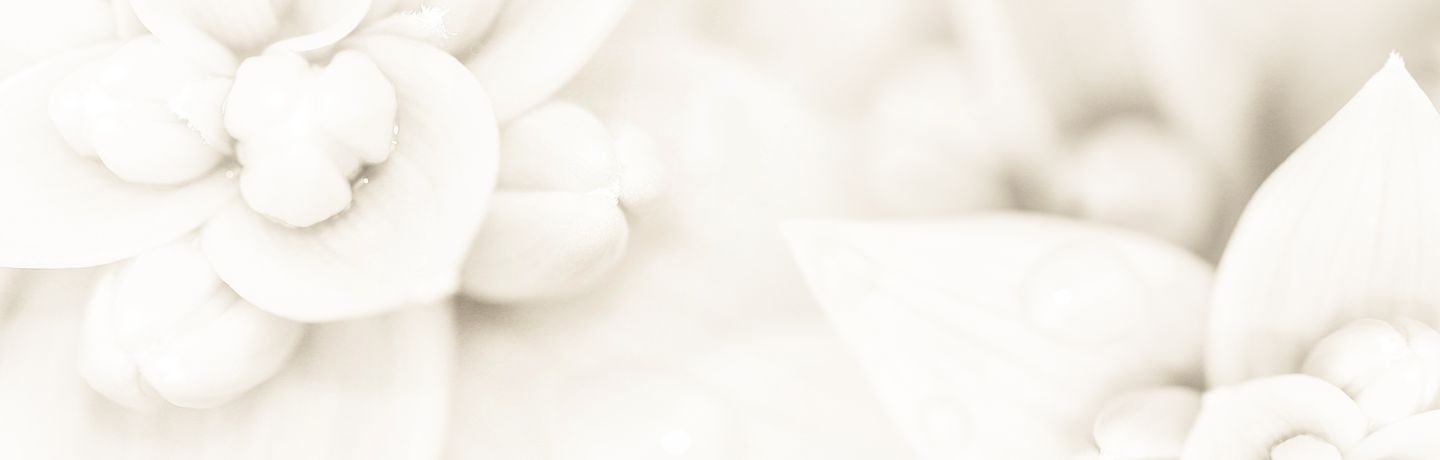 Loving Care Indonesia